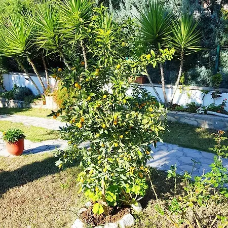 Private With Pool. Perfect Location! Villa
